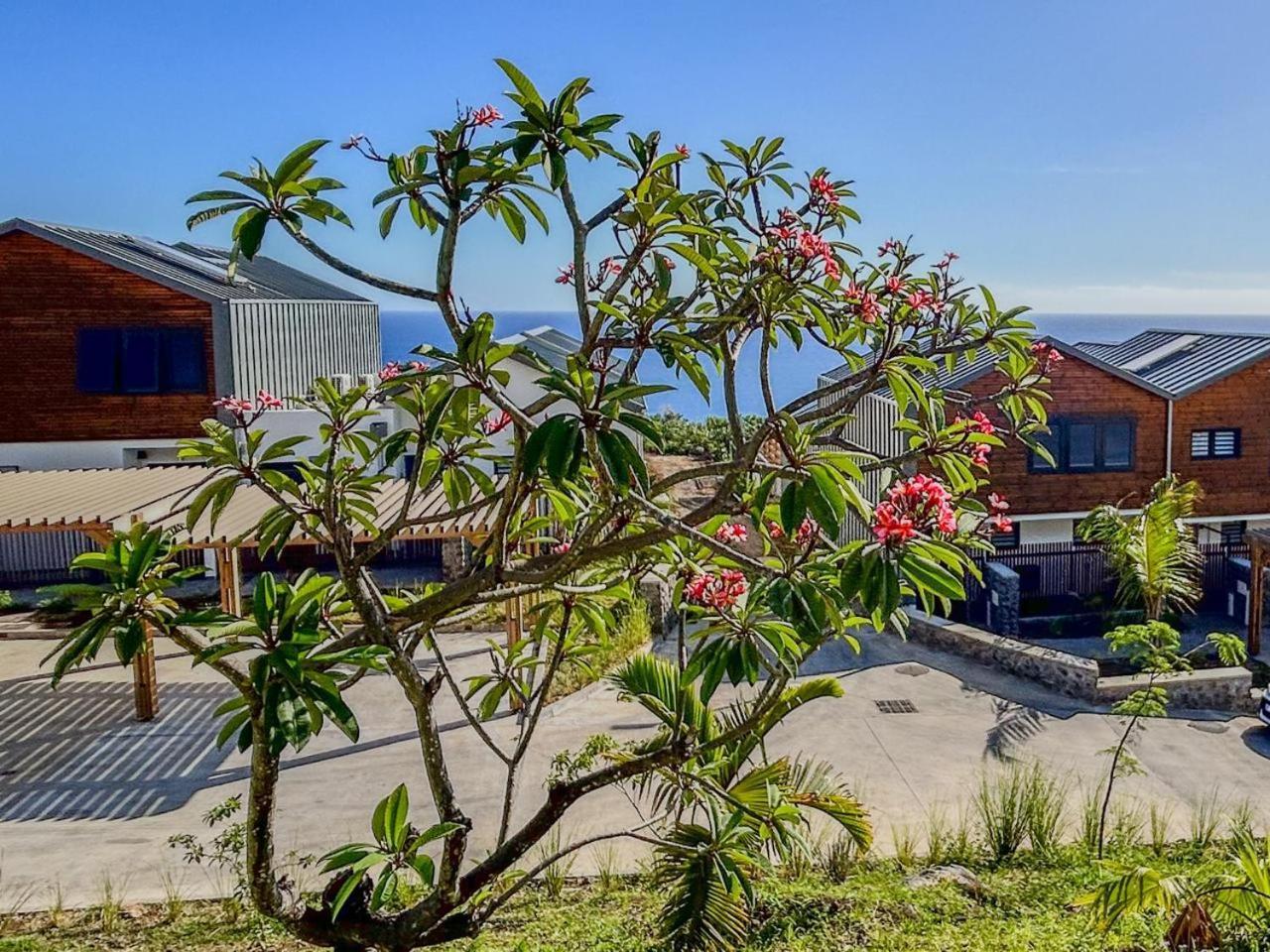 Apartmán Le Reve Bleu Grand Anse Petite Île Exteriér fotografie